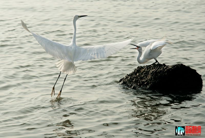 DSC_8897.jpg
