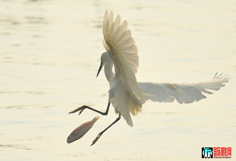 DSC_8746.jpg