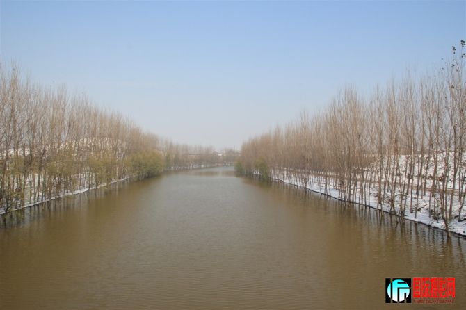 55.jpg