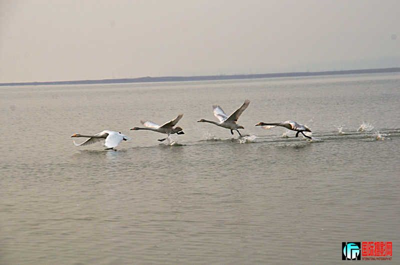 DSC_0319.jpg