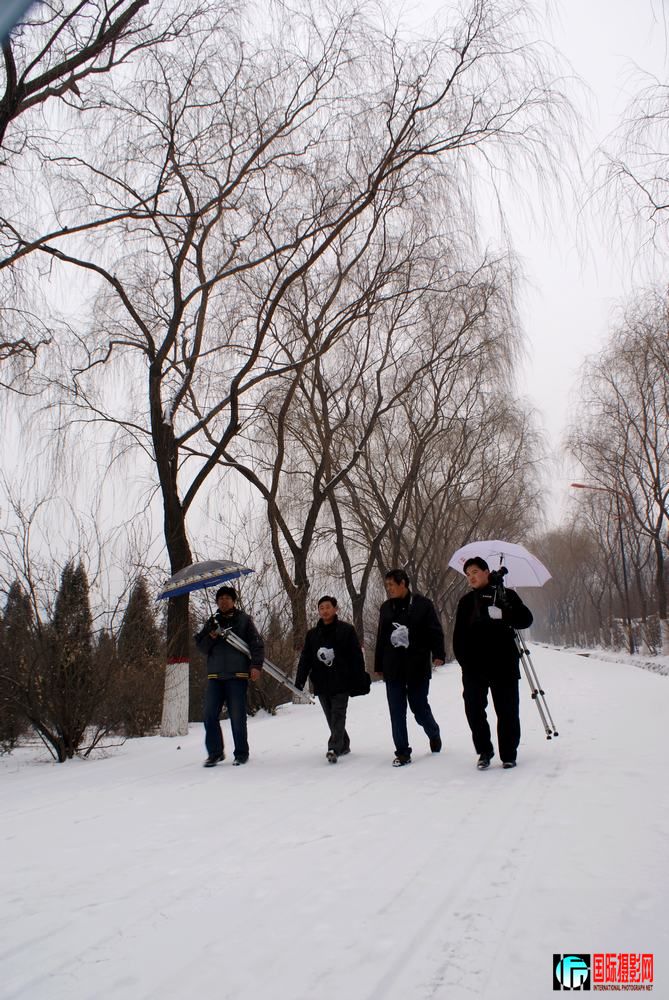 DSC-013.jpg
