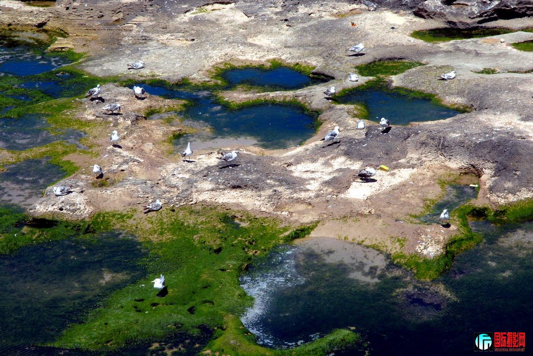 DSC_15.jpg