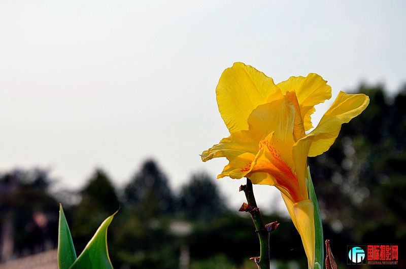 _DSC0039_20110924_536.JPG