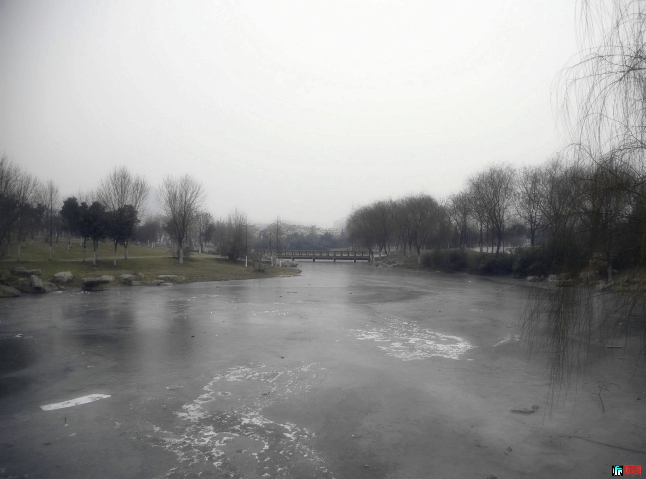 DSC_01441.jpg