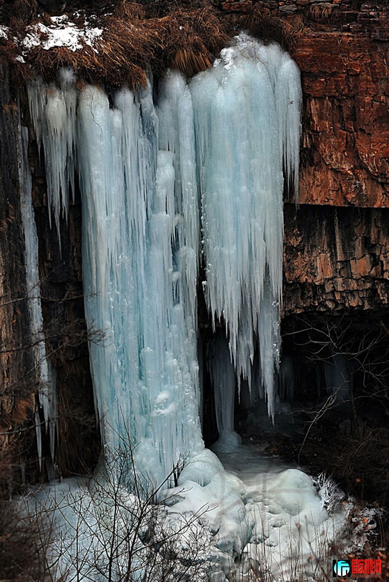 DSC_6772.jpg