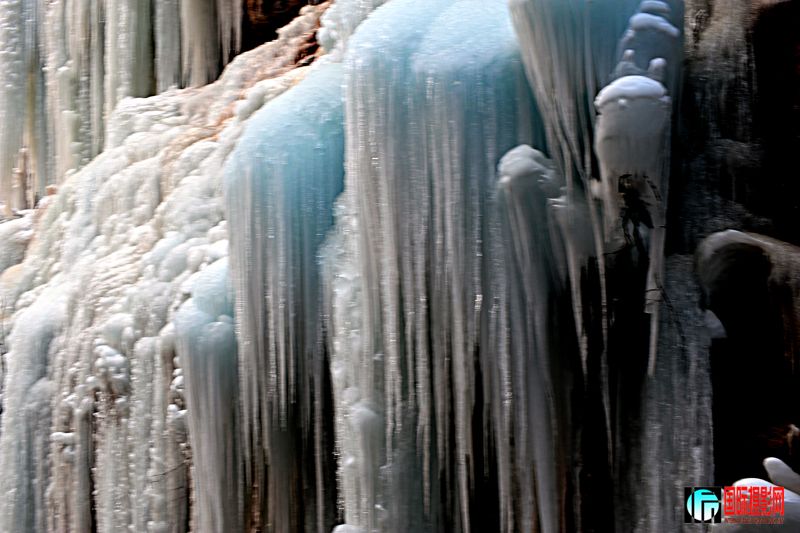DSC_6952.jpg