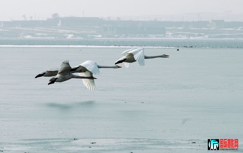 DSC_4162.jpg