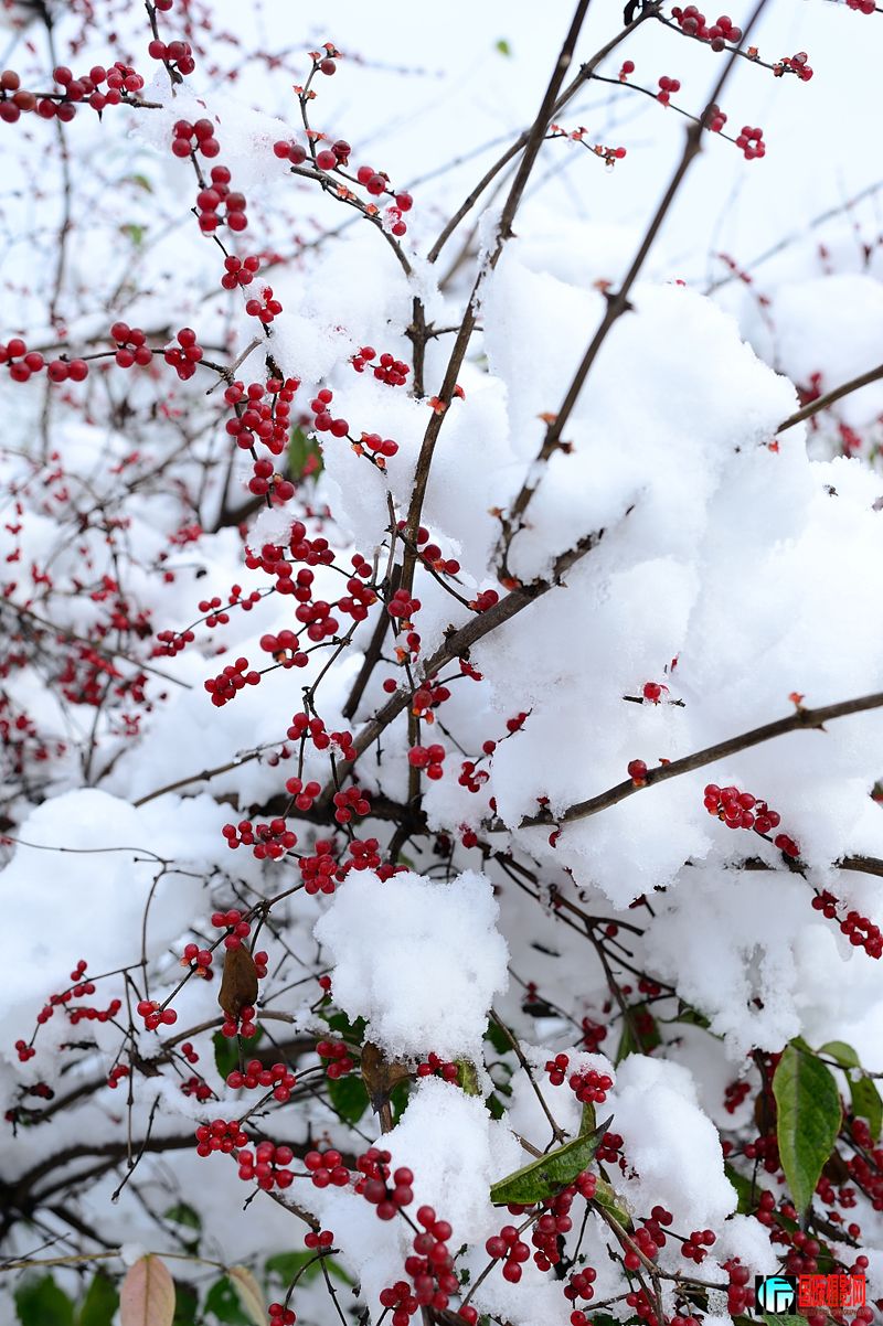 DSC_5208.JPG