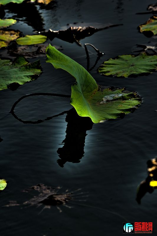 DSC_3278.JPG