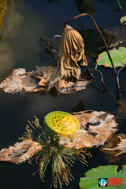 DSC_3281.JPG