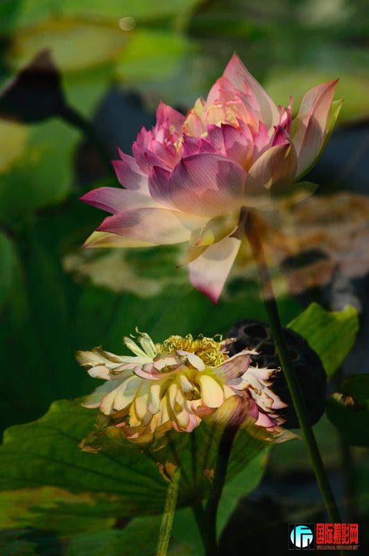 DSC_3277.JPG