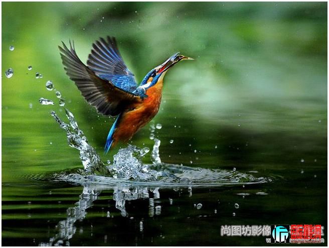 2.catching Ӱchia-pao chang ̨壩 fiap.jpg