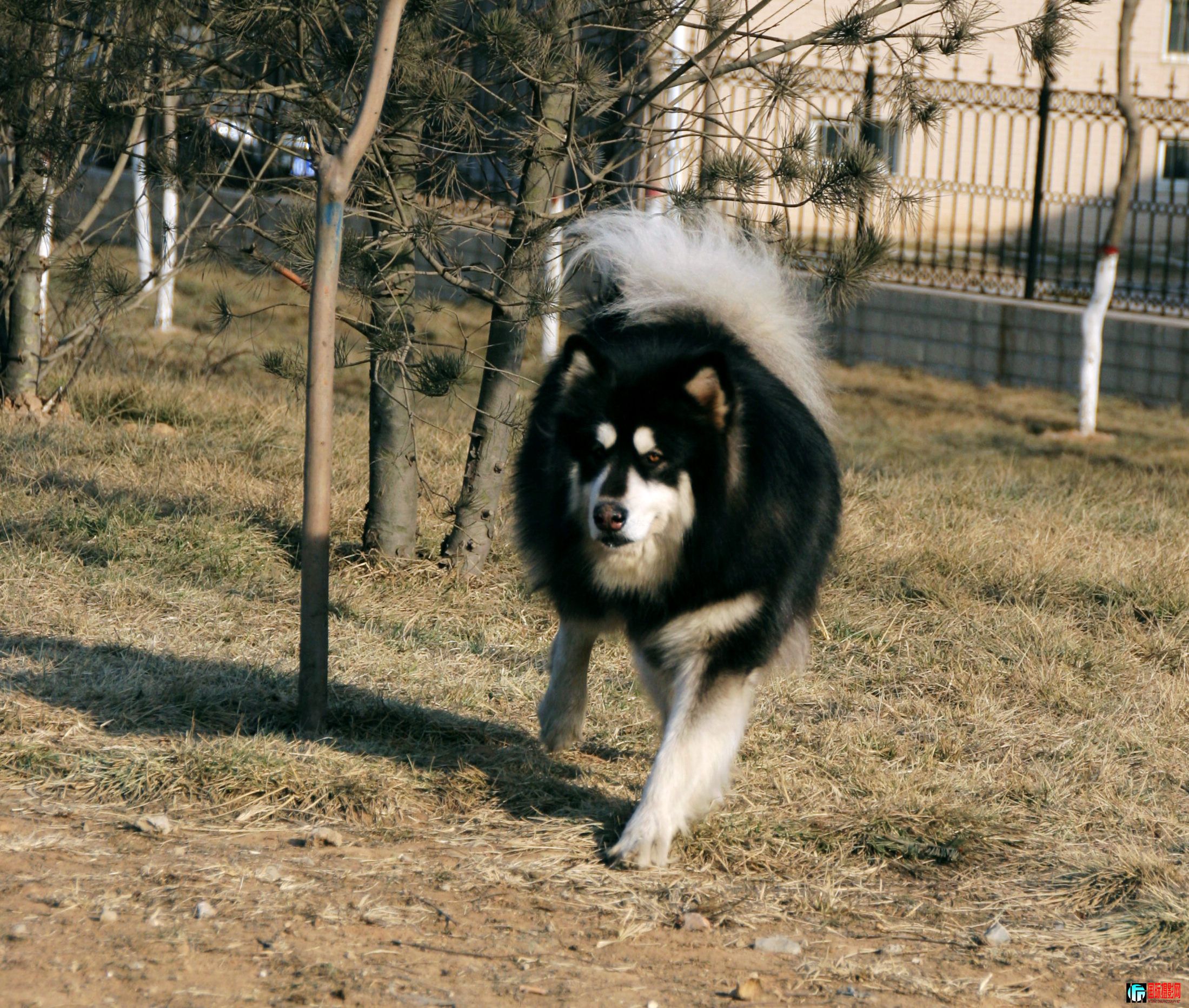 IMG_5129.jpg