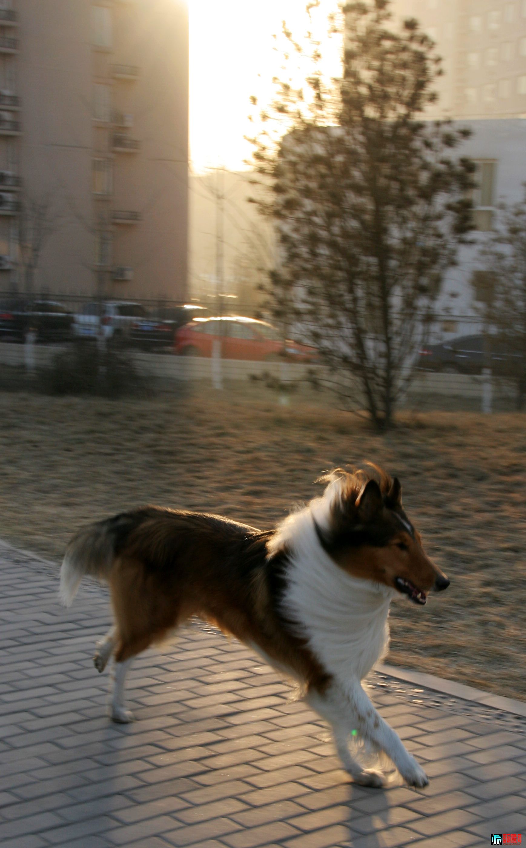 IMG_5087.jpg
