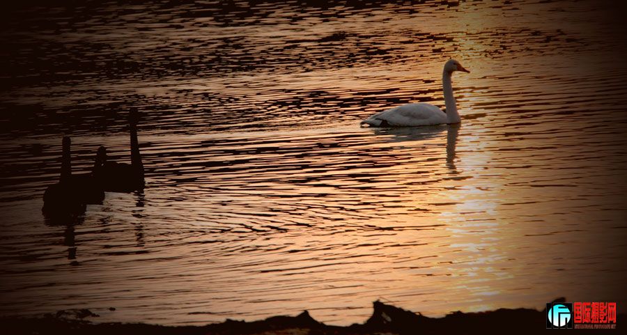 IMG_0379.jpg
