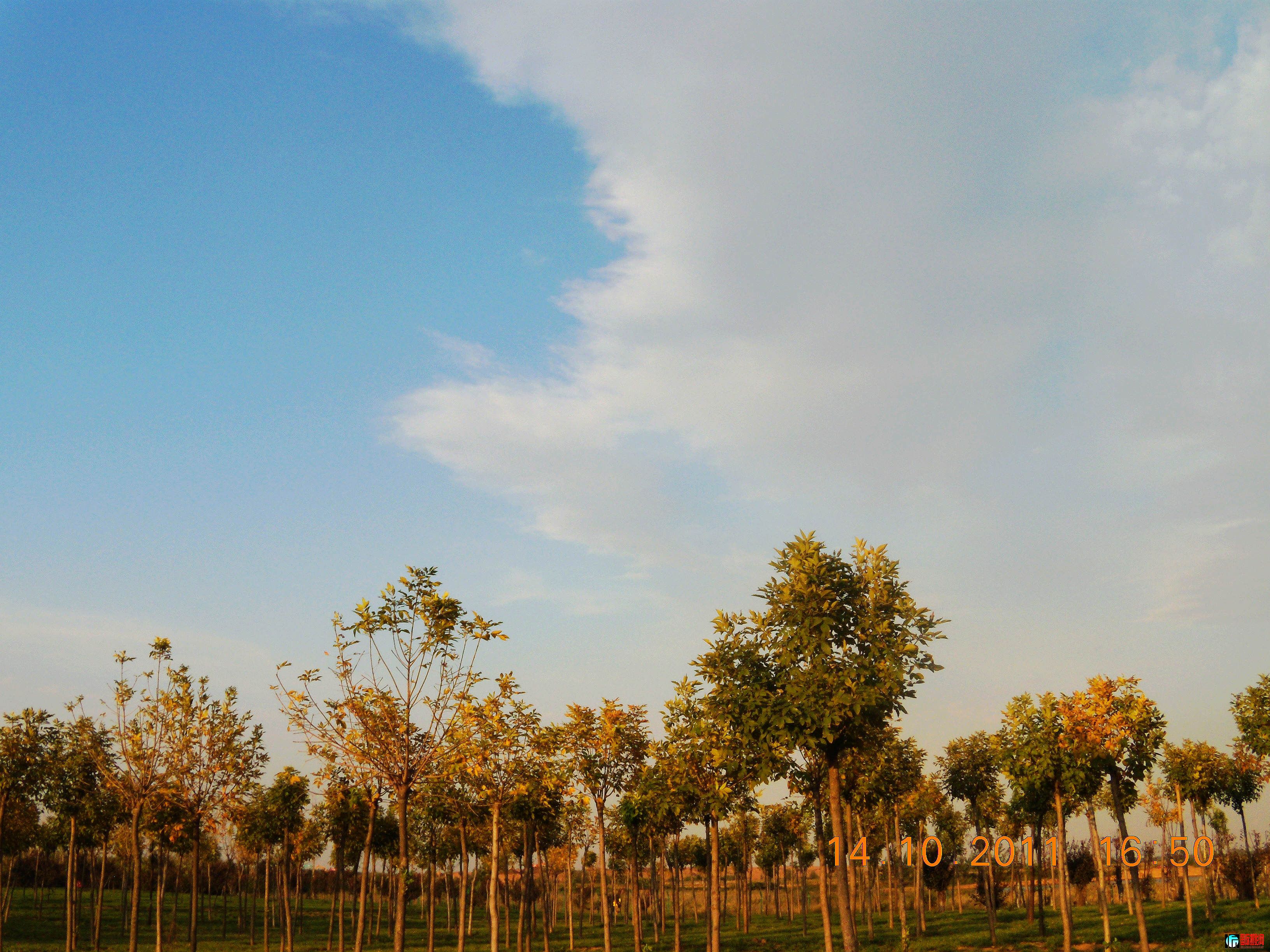 DSCN0535.jpg