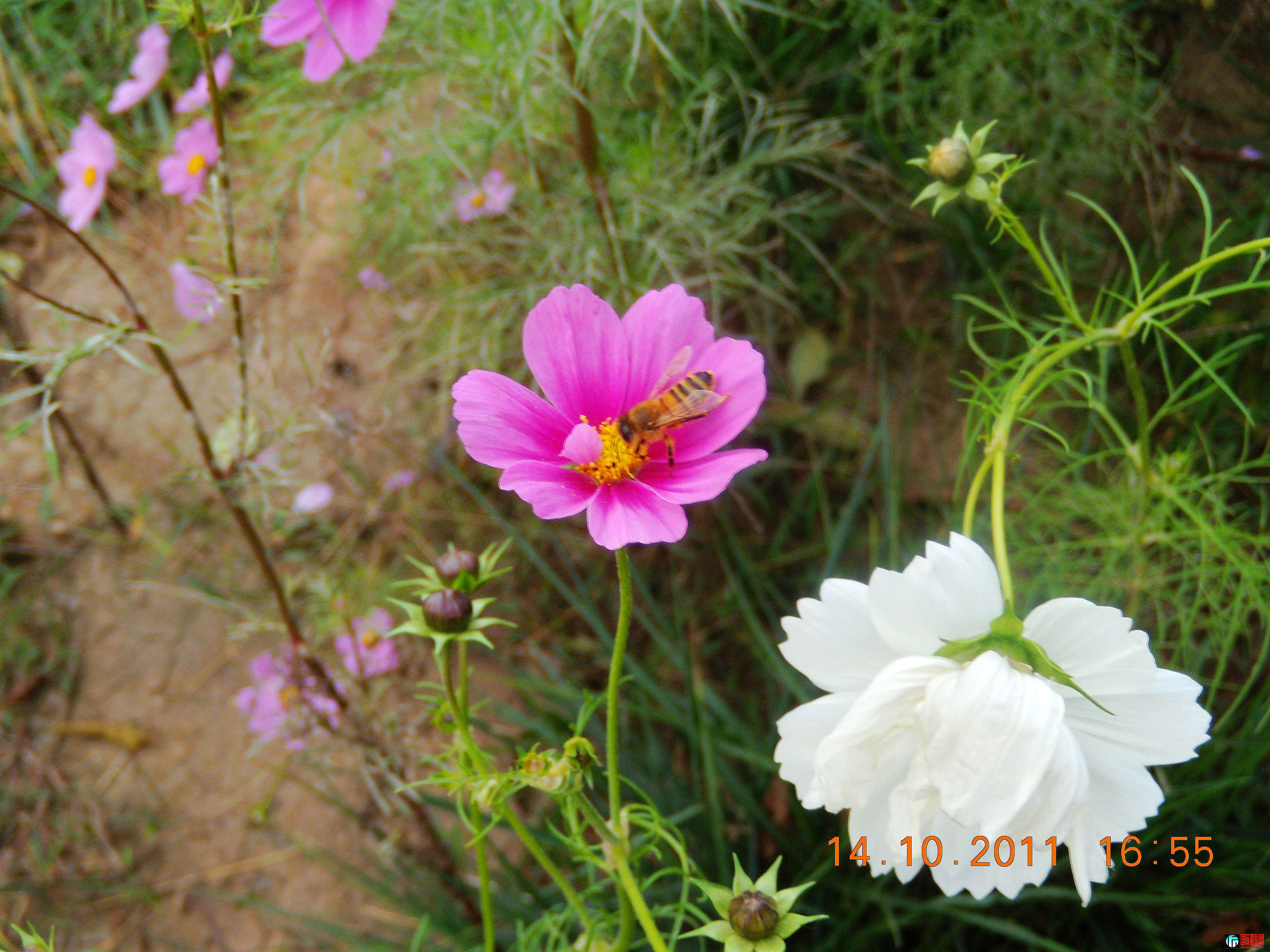 DSCN0548.jpg