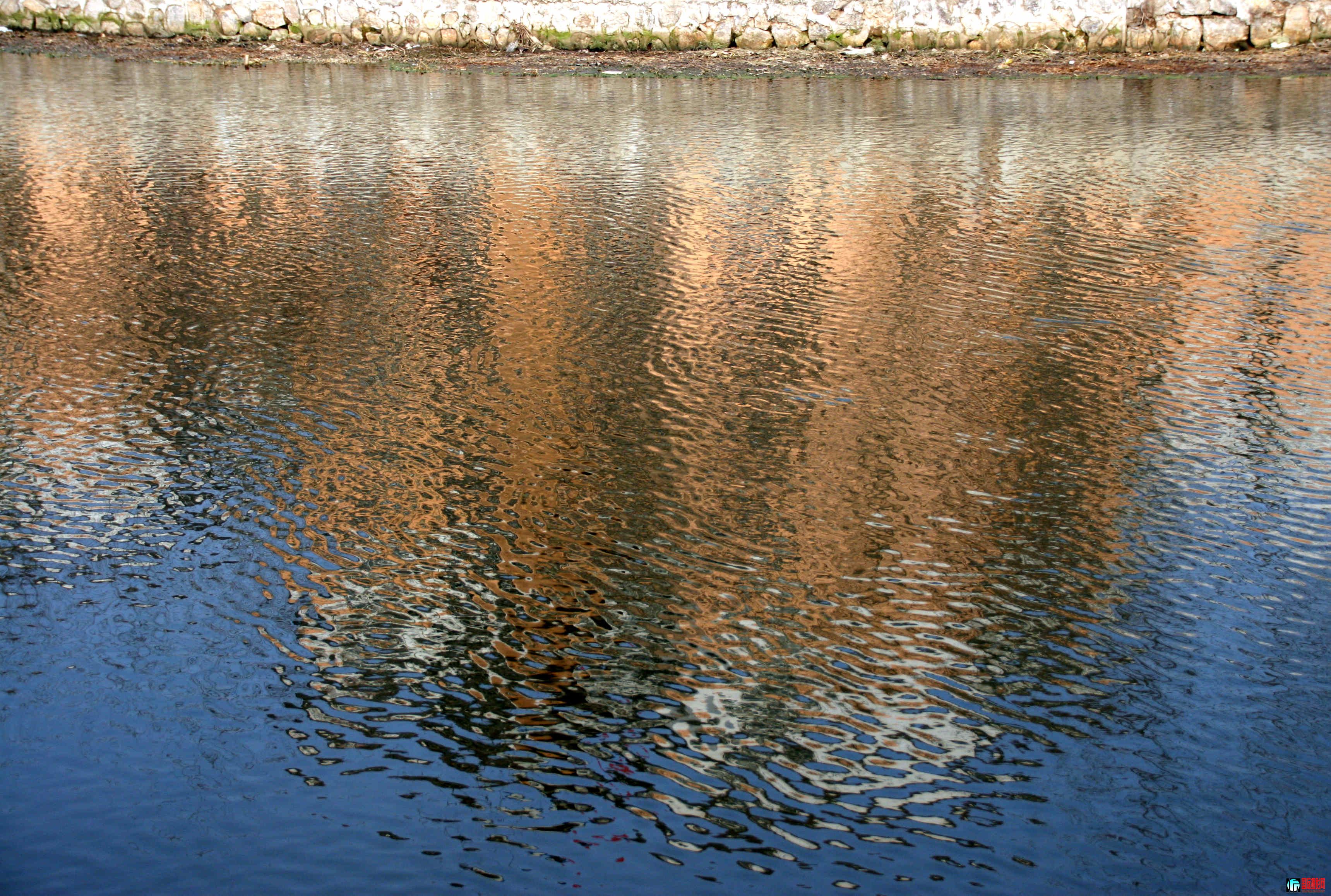 IMG_5882.jpg