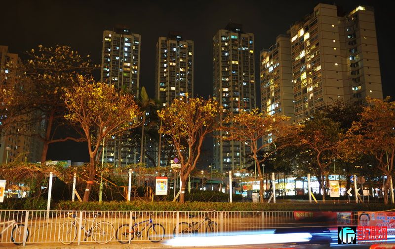 DSC_5793.jpg