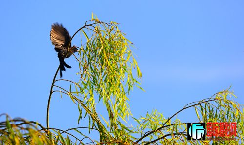 DSC_2698.JPG