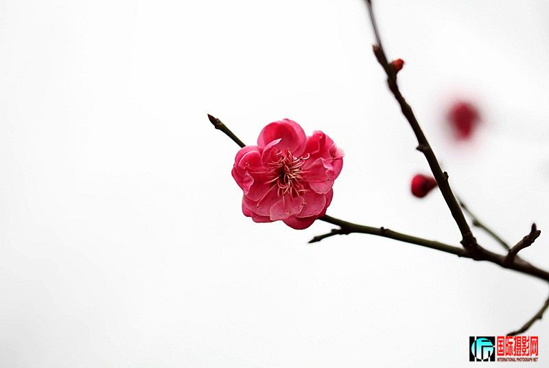 IMG_9673_conew1.jpg