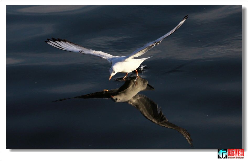IMG_1839b.jpg
