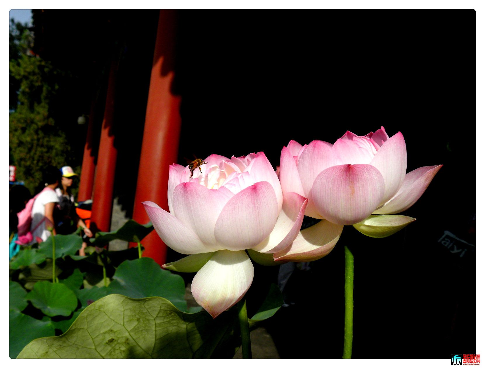 DSCN2189_.jpg