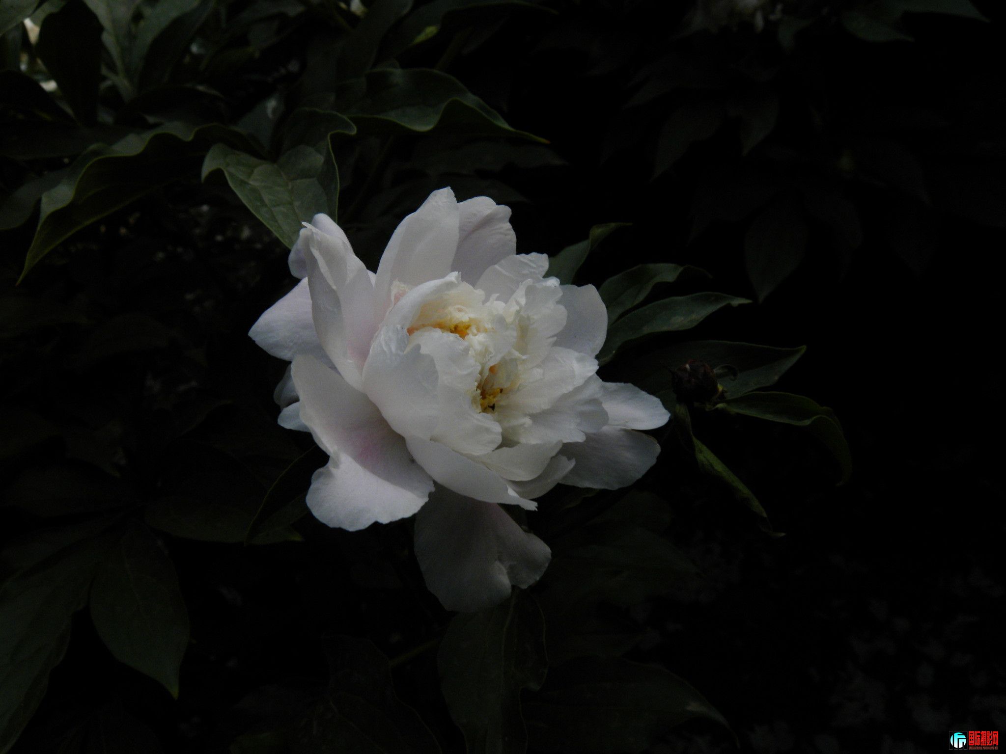 dscn1472_.jpg