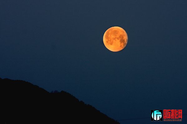 IMG_3010www.jpg
