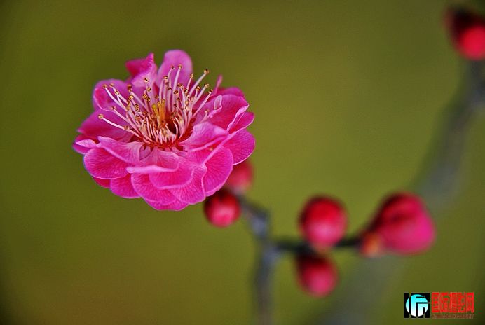 DSC_0010.JPG