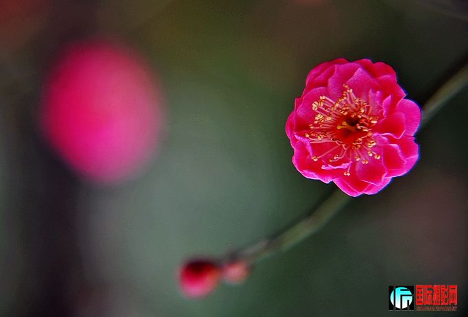 DSC_0014.JPG