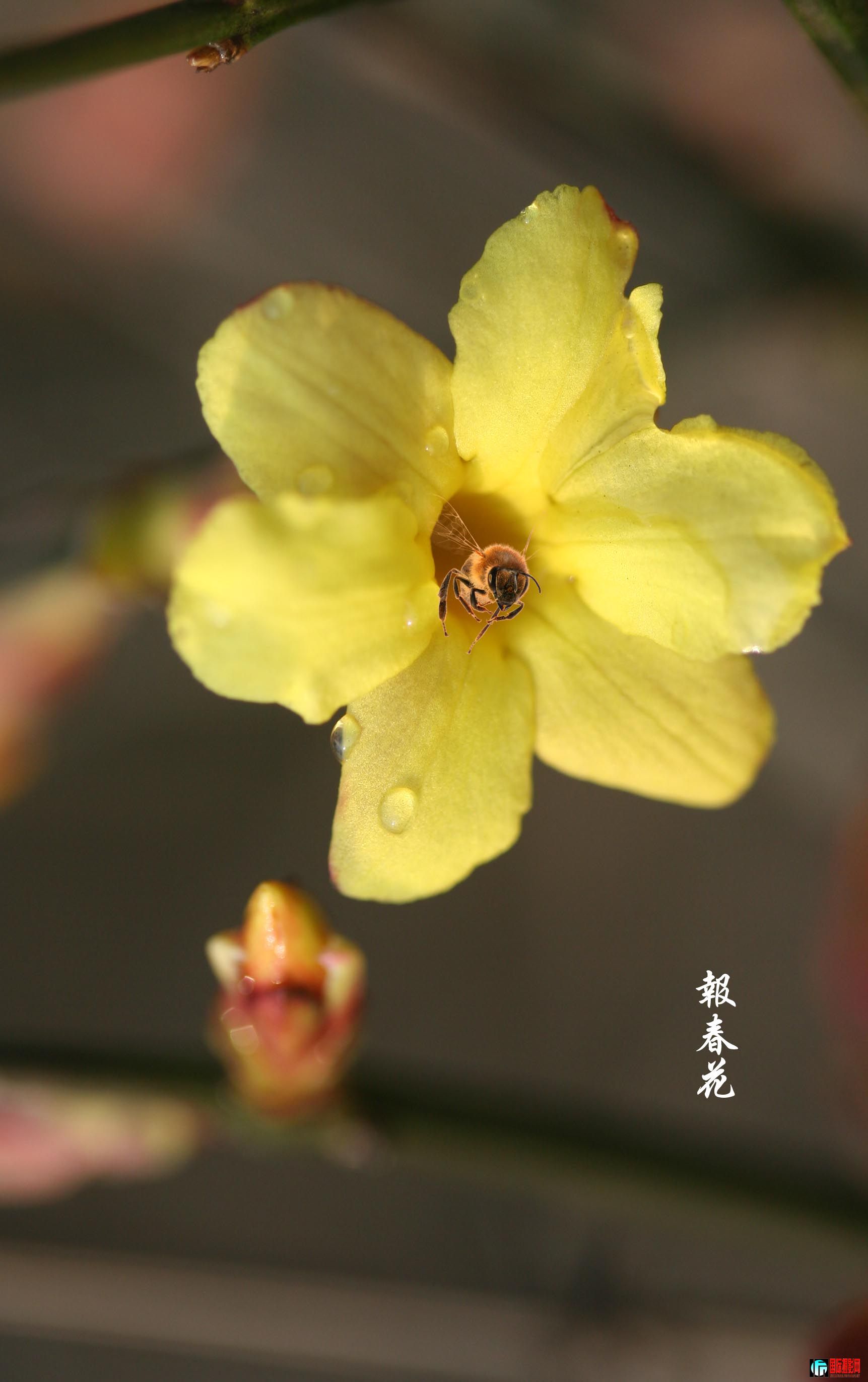 IMG_6886.jpg