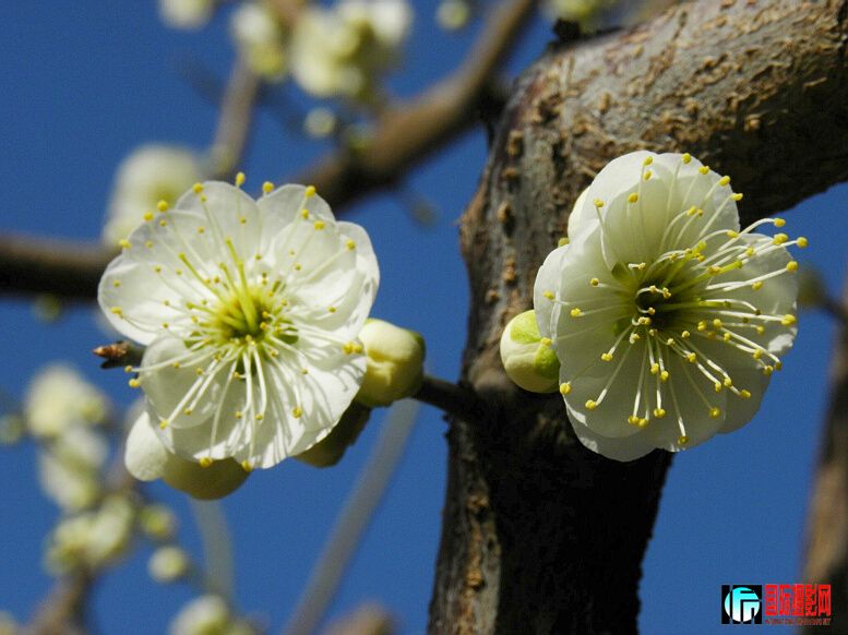 DSCN5869.jpg
