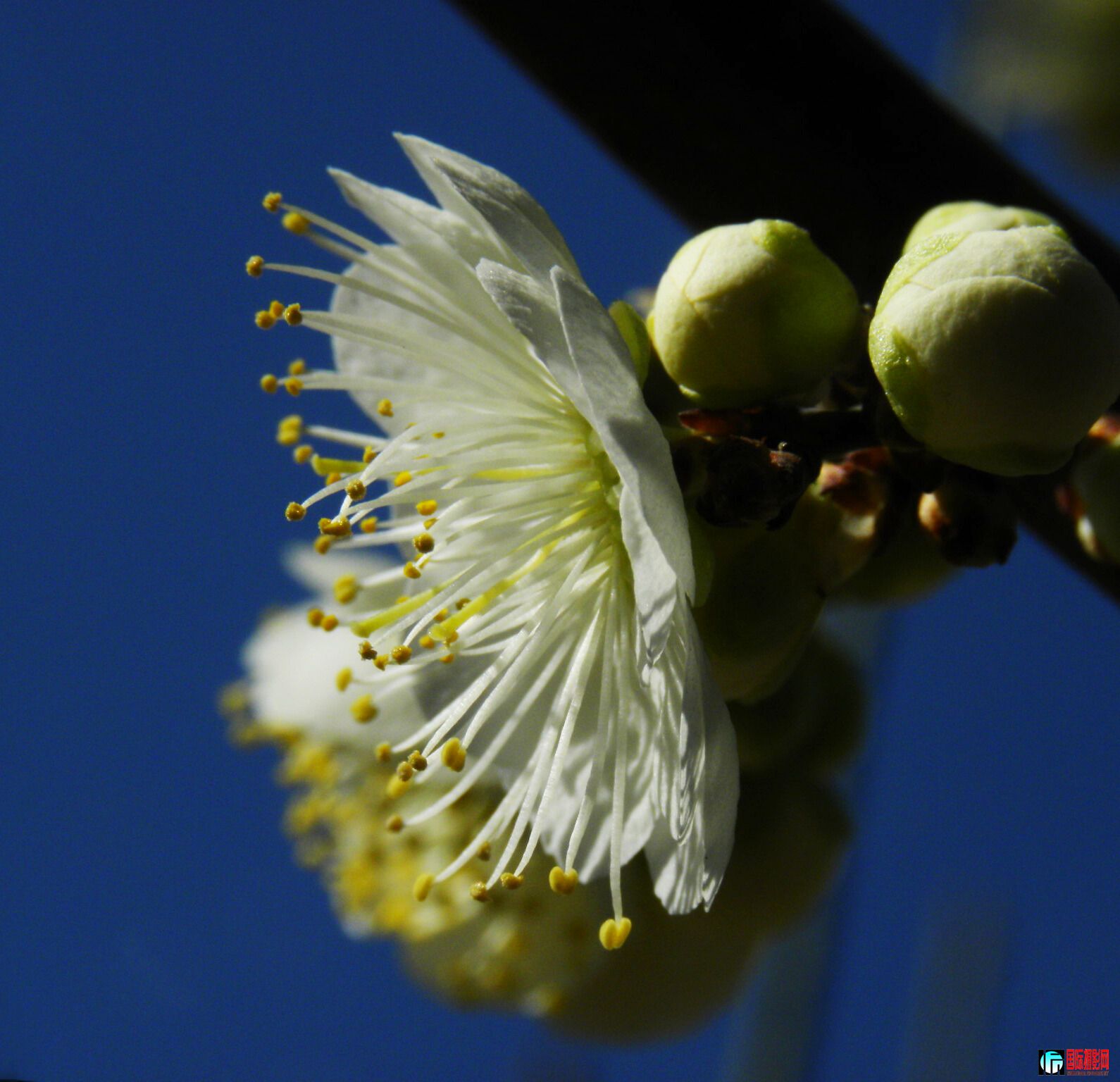 DSCN5870.JPG
