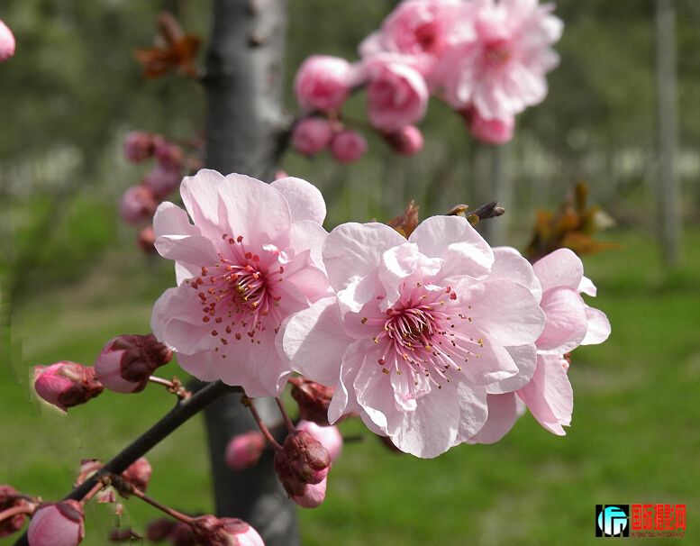 DSCN5509.jpg