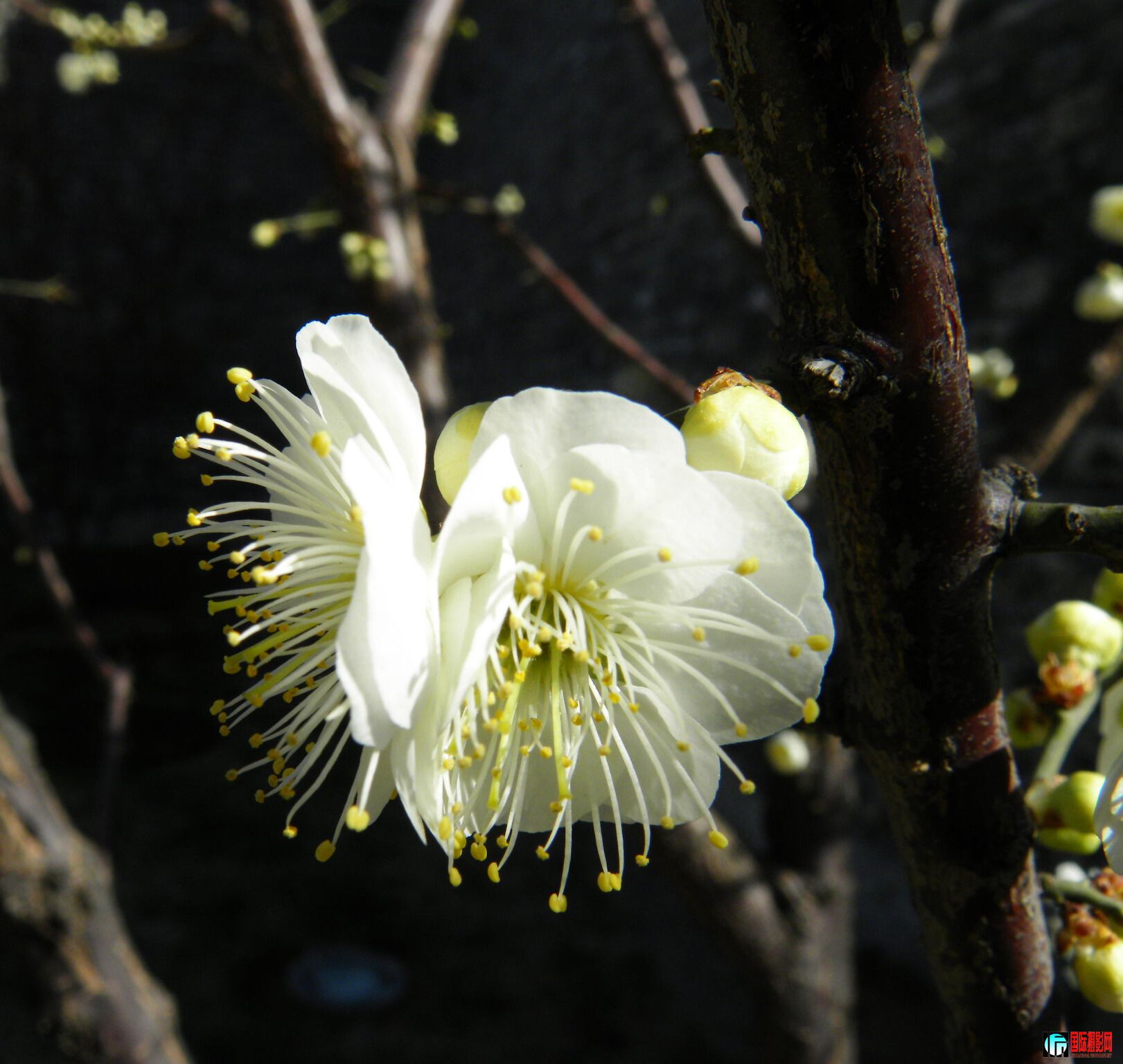 DSCN5865.JPG