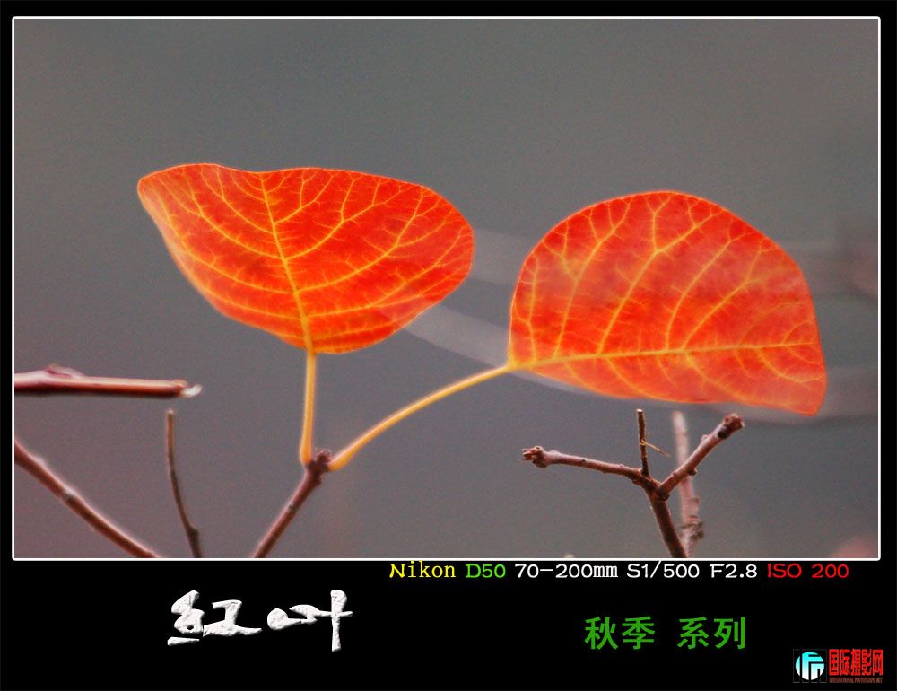 DSC_9024.JPG
