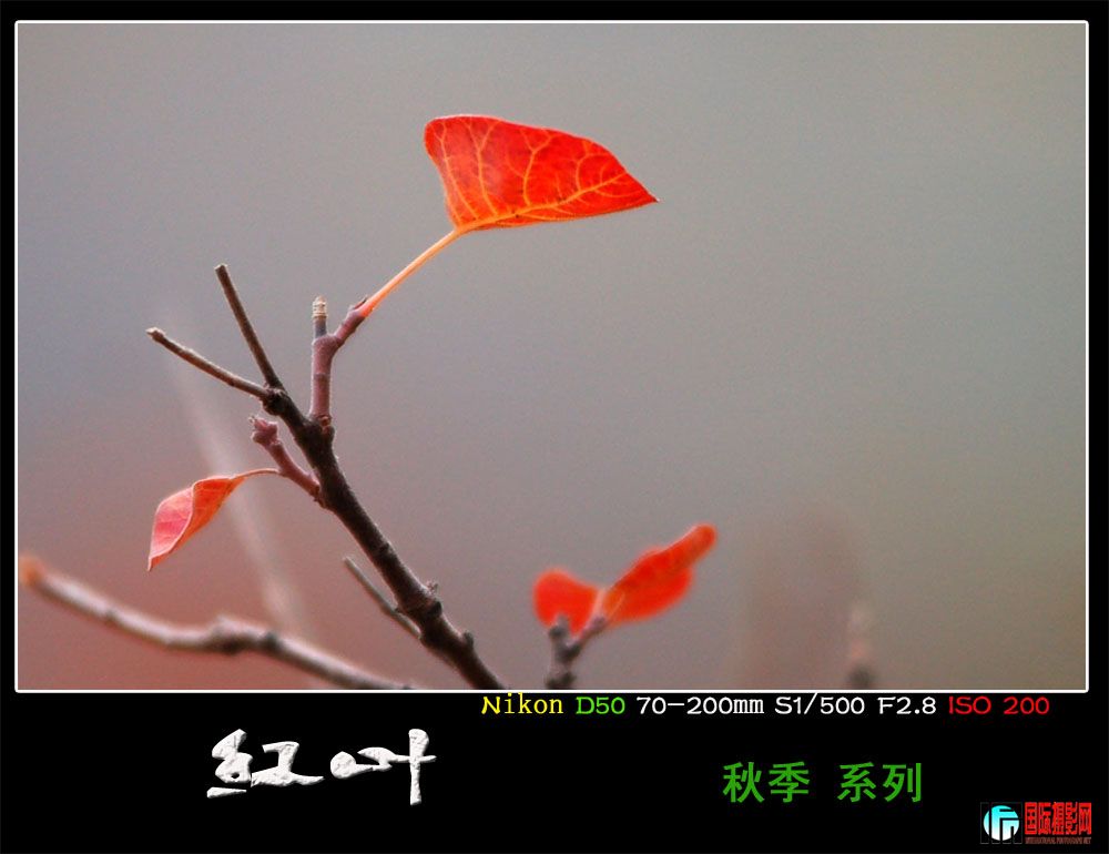 DSC_9026.JPG