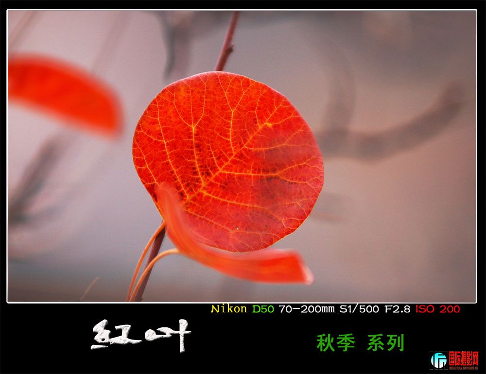 DSC_9025.JPG