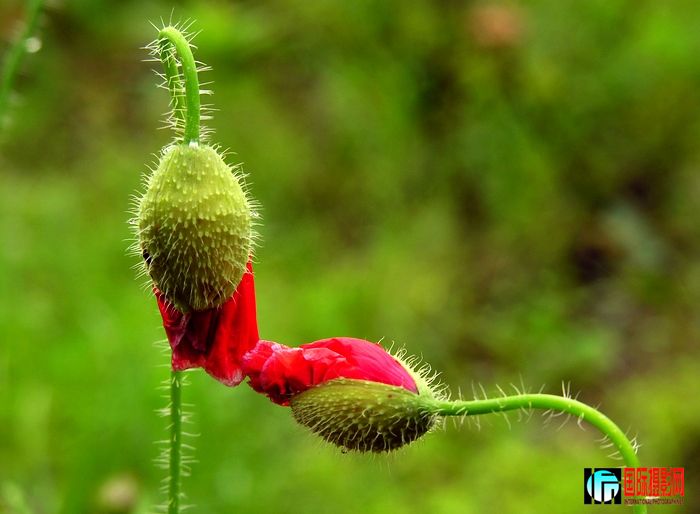 DSCN3870.JPG