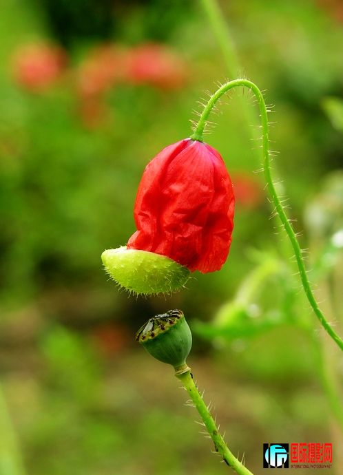 DSCN3828.JPG
