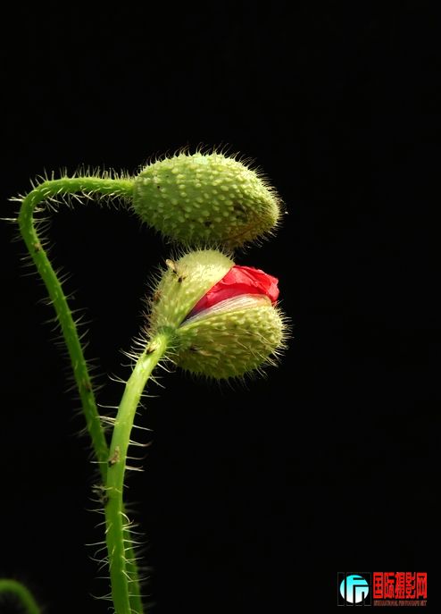 DSCN2068.JPG