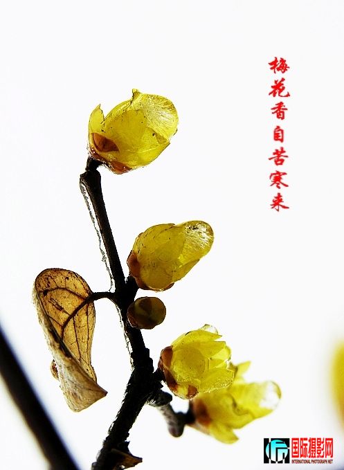 DSCN3296.JPG