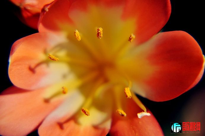 DSC_0177.JPG
