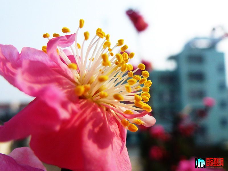 P1000883B.jpg