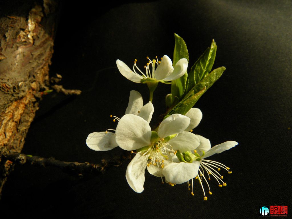 DSCN7157_.jpg