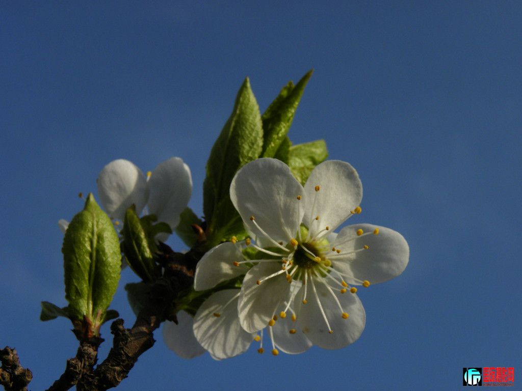 DSCN7170_.jpg