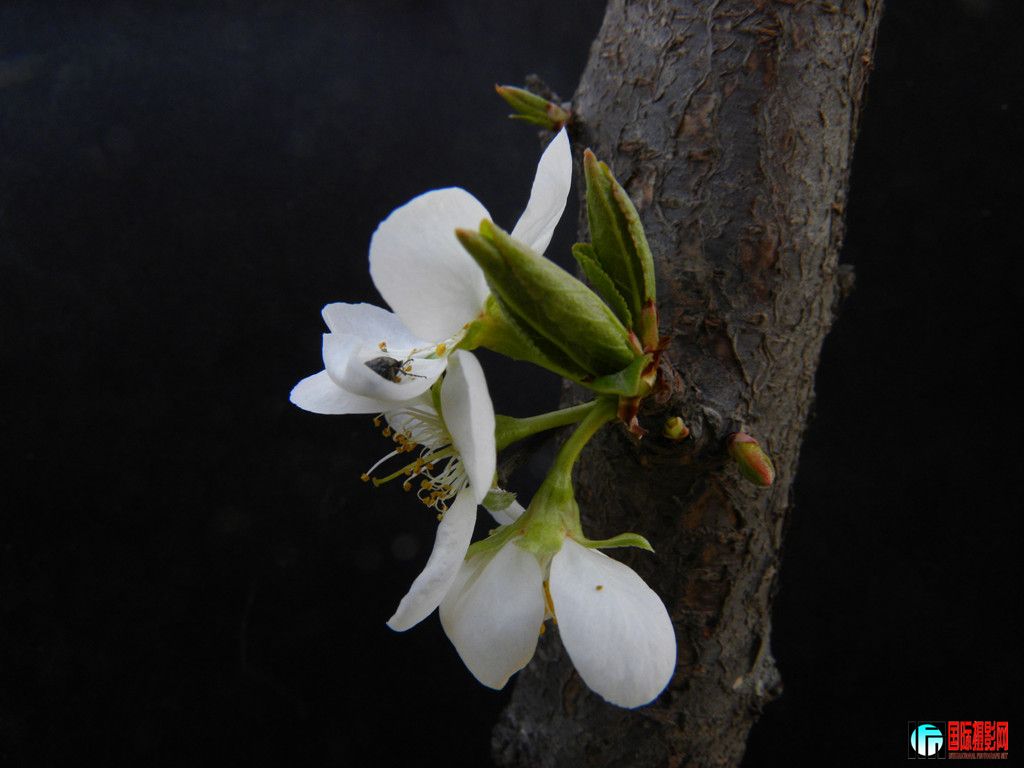 DSCN7158_.jpg