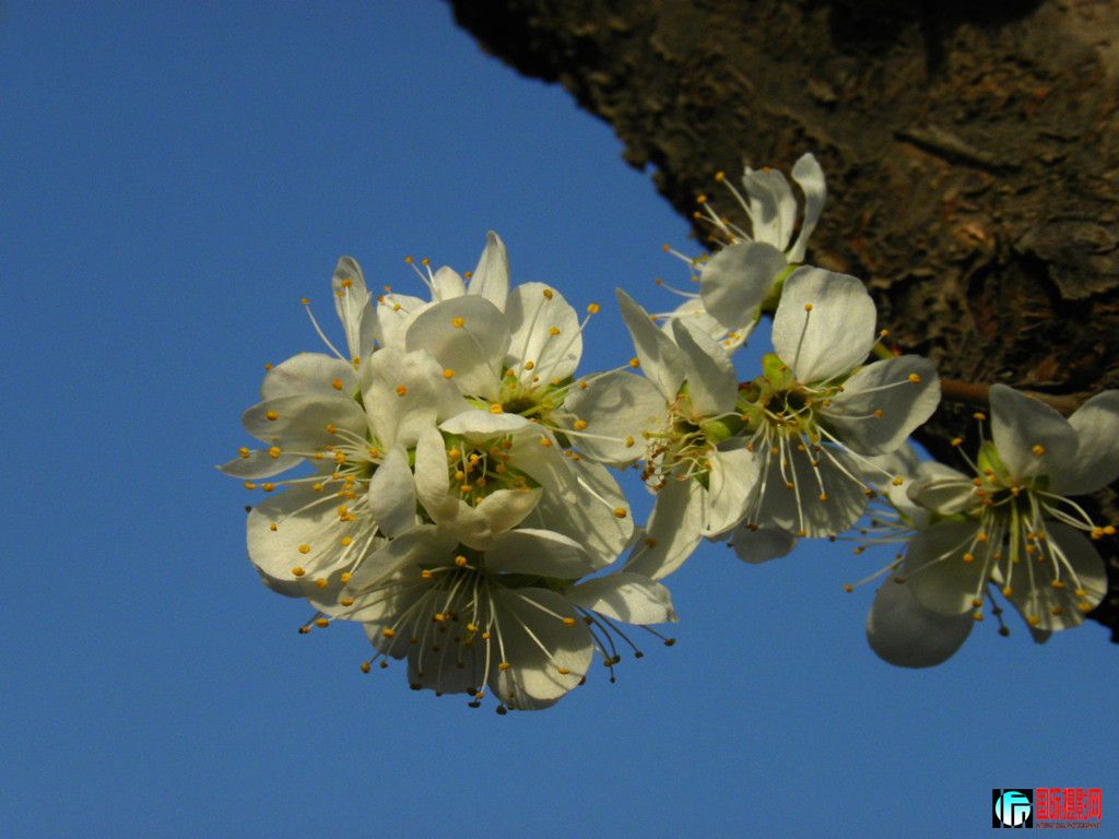 dscn7152_.jpg