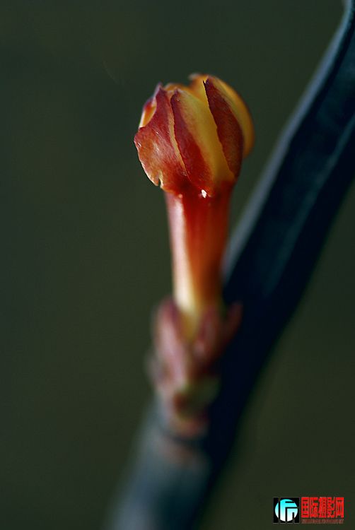 DSC_1281.jpg
